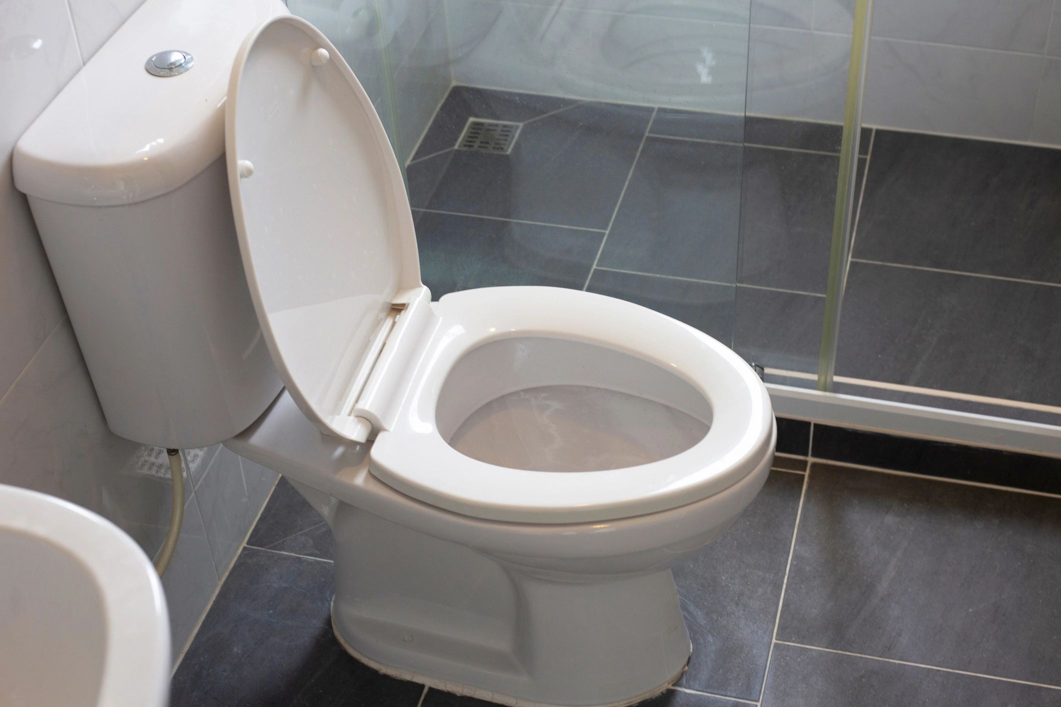 modern toilet seat bathroom