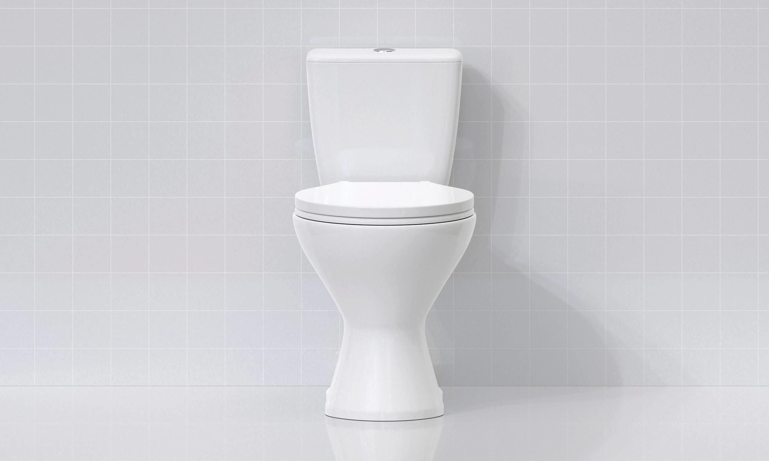 toilet seat product